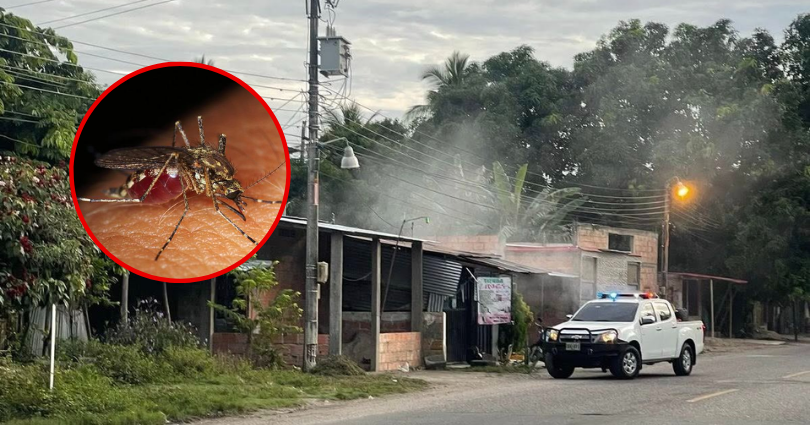 El Irreverente Noticias de Ibague y Tolima, Colombia