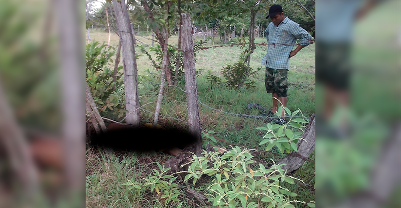 El Irreverente Noticias de Ibague y Tolima, Colombia