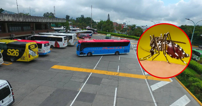 El Irreverente Noticias de Ibague y Tolima, Colombia