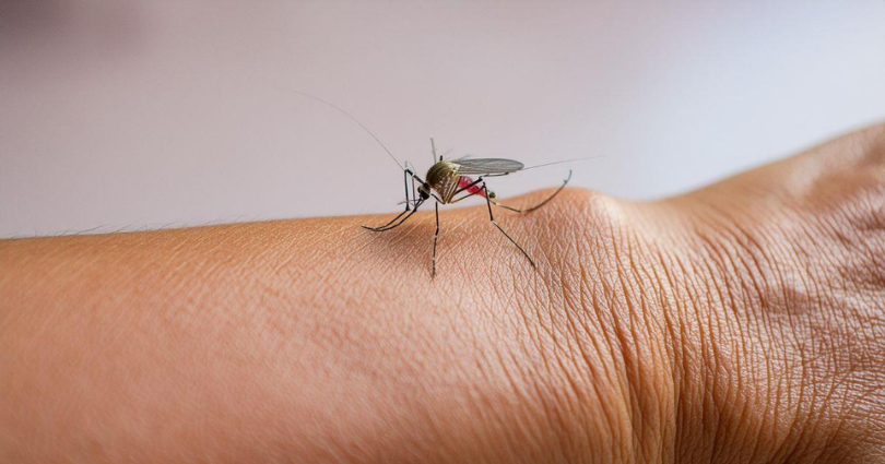 El Irreverente Noticias de Ibague y Tolima, Colombia