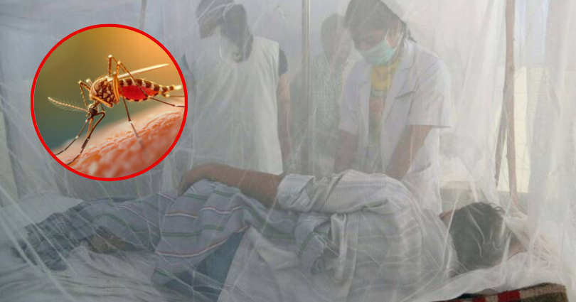 El Irreverente Noticias de Ibague y Tolima, Colombia