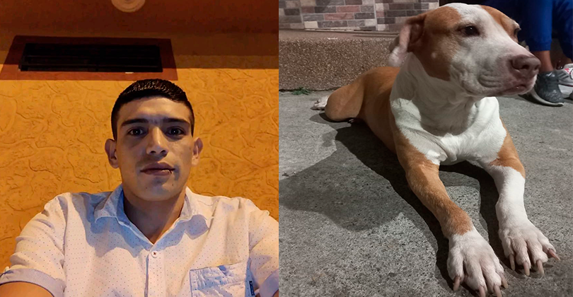 El Irreverente Noticias de Ibague y Tolima, Colombia