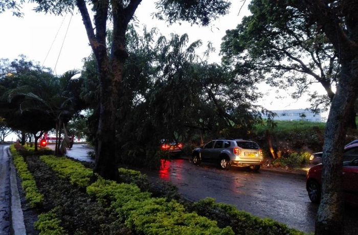 El Irreverente Noticias de Ibague y Tolima, Colombia